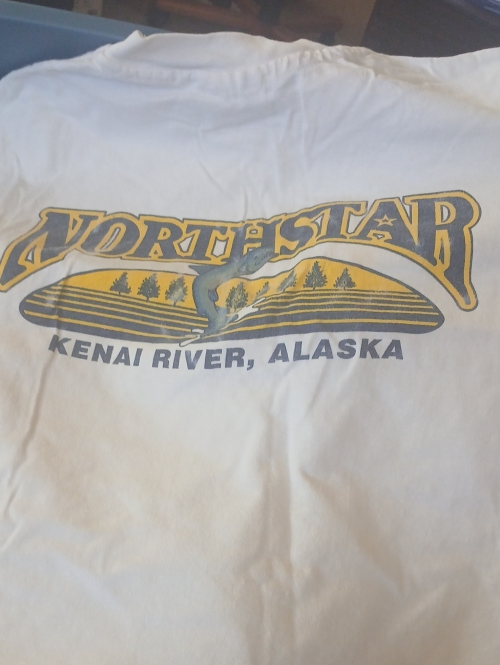 Vintahe Hanes White Short-Sleeve Tee with Northstar Kenai River Graphic